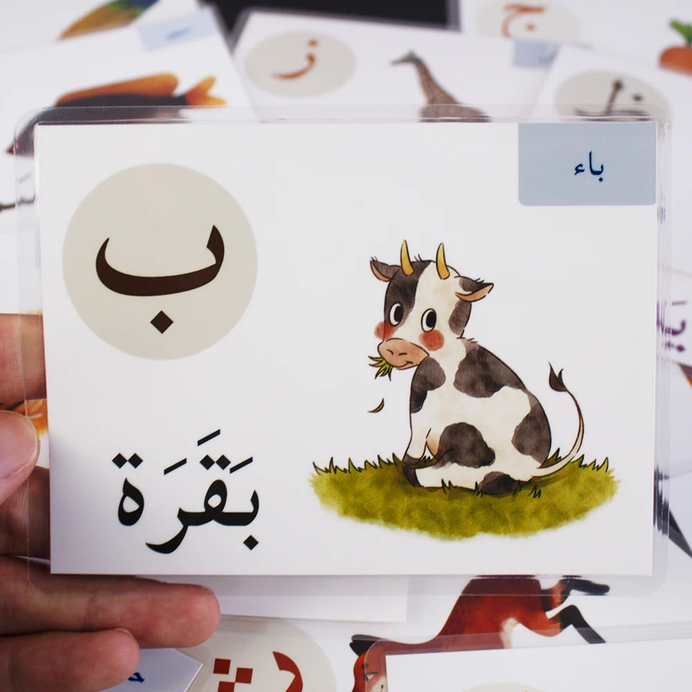 Alphabet Card Montessori Learning Arabic