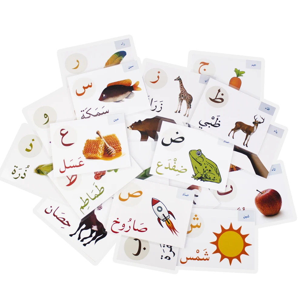 Alphabet Card Montessori Learning Arabic