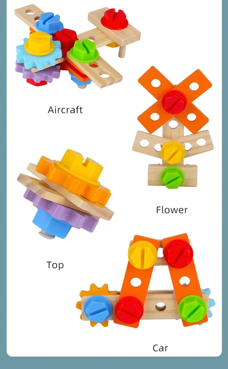 Educational STEM Construction