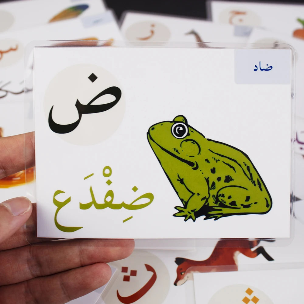 Alphabet Card Montessori Learning Arabic