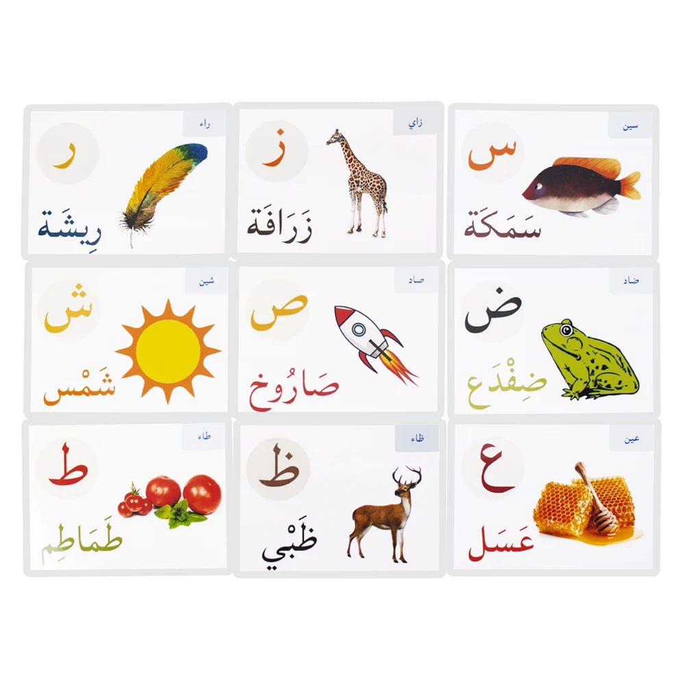 Alphabet Card Montessori Learning Arabic