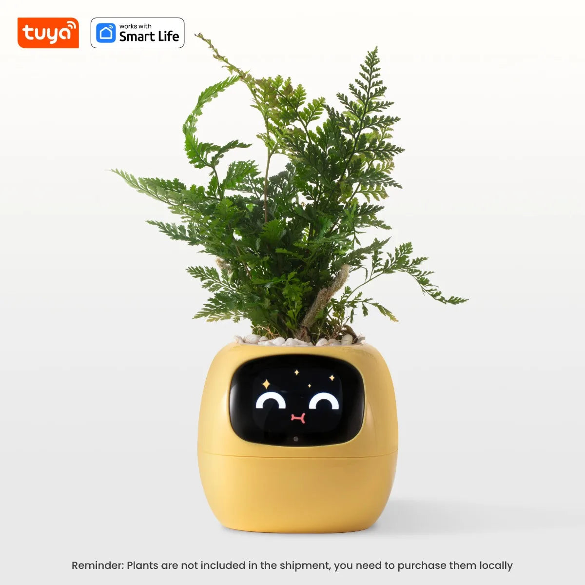 Smart Planter