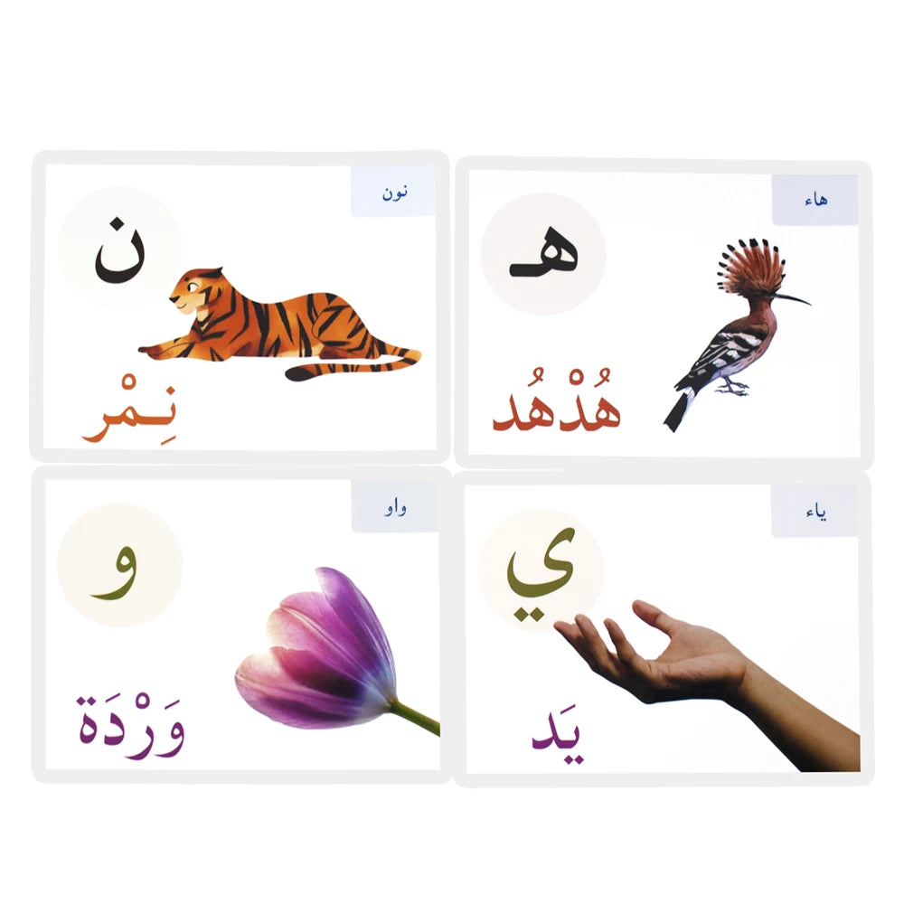 Alphabet Card Montessori Learning Arabic