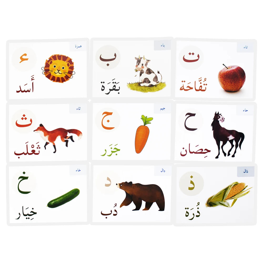 Alphabet Card Montessori Learning Arabic